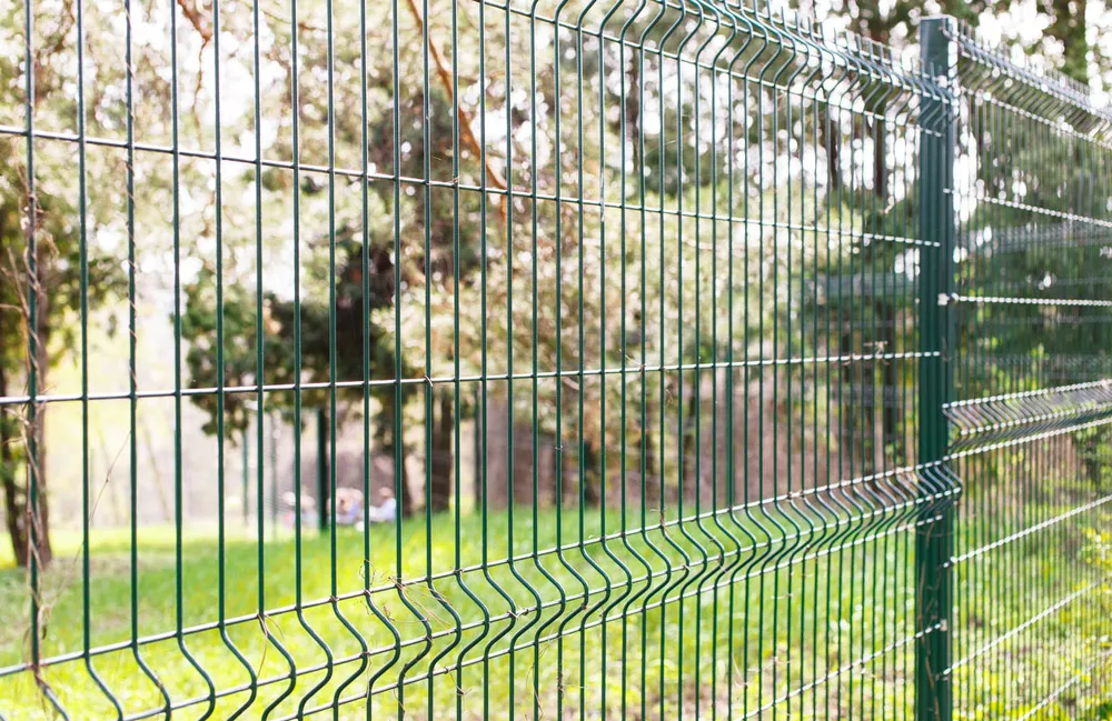 Zdjęcie Siatka czy panele cena – które ogrodzenie wybrać bez zbędnych wydatków?