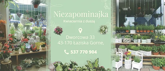 Zdjęcie Kwiaciarnia jakie pkd – uniknij błędów przy wyborze kodu działalności