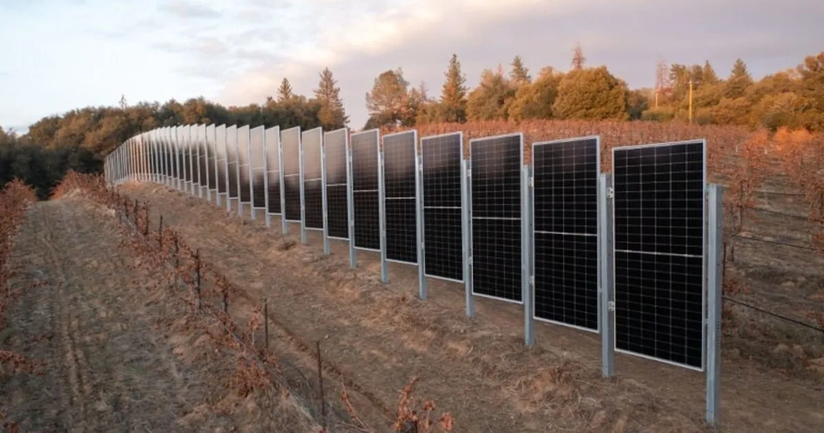 Zdjęcie Nietypowe: panele fotowoltaiczne na Twoim płocie. Czy to działa?