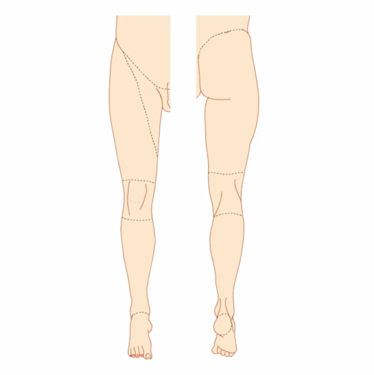 Zdjęcie Todo sobre los músculos de la pierna: funciones y anatomía completa
