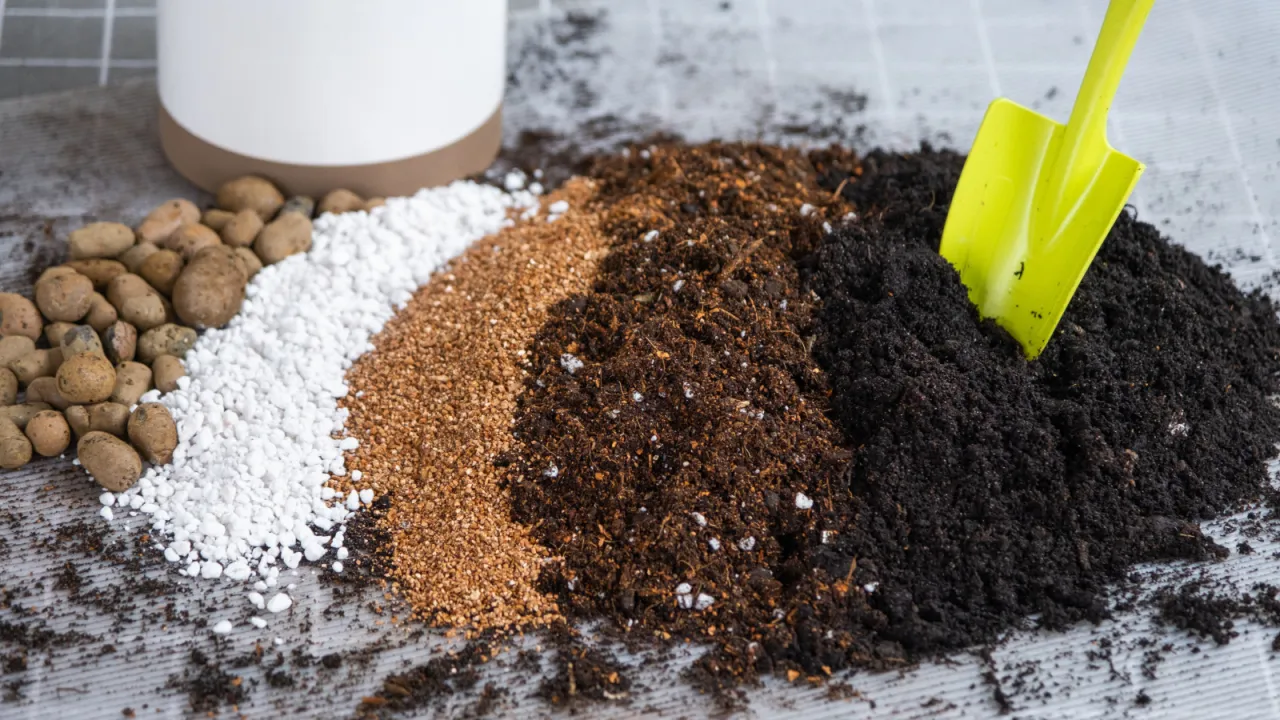 Zdjęcie Zapomnij o workach! Stw&oacute;rz idealną ziemię ogrodową DIY krok po kroku