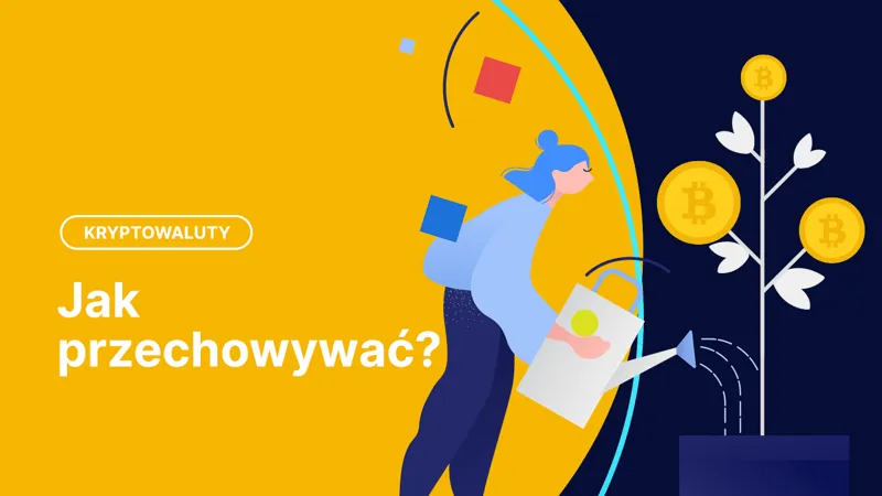 Zdjęcie Jak bezpiecznie przechowywać kryptowaluty, aby uniknąć strat i oszustw