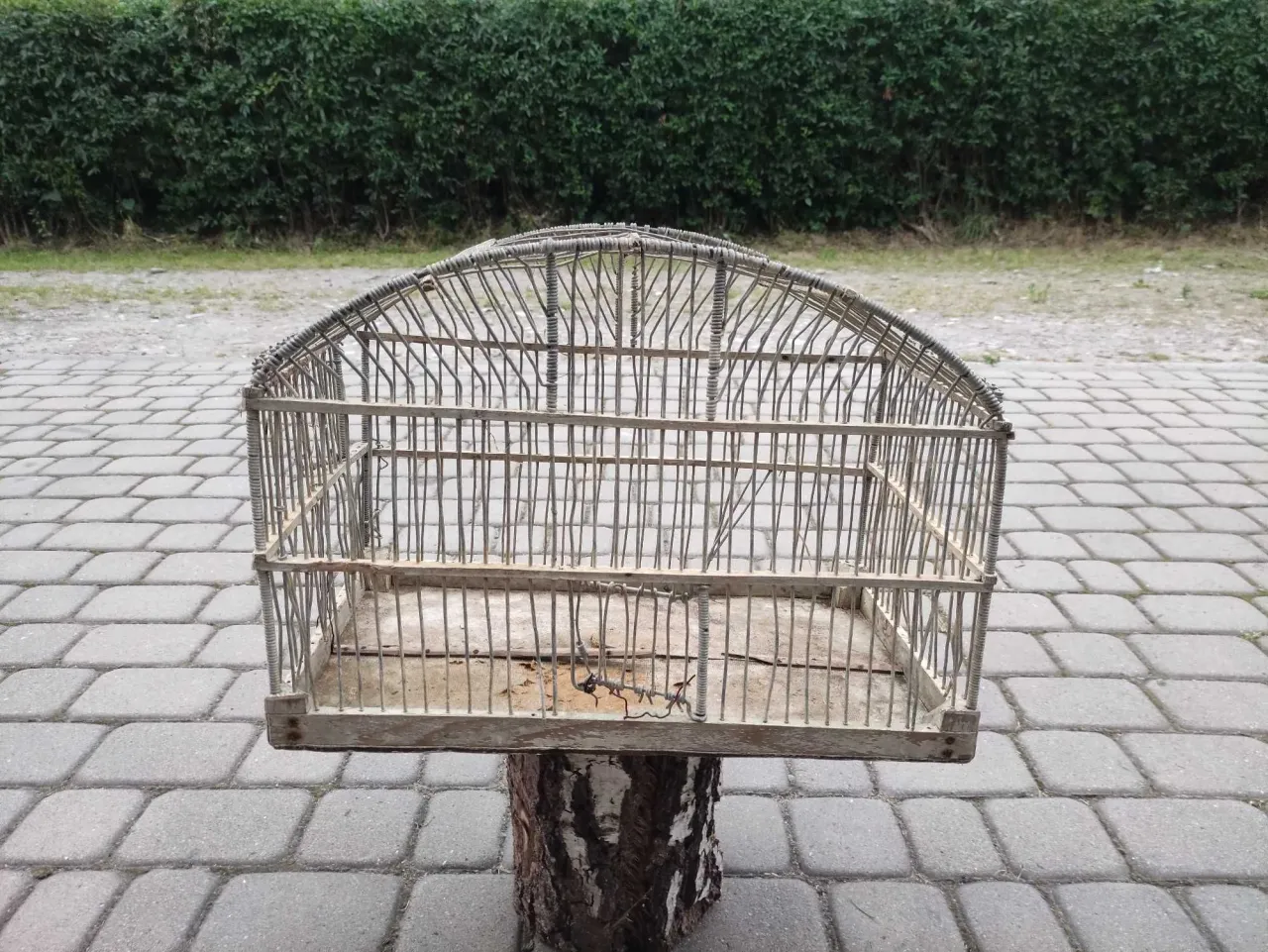 Zdjęcie Najlepsze klatki dla kanarka retro - styl, ceny i porady dotyczące pielęgnacji