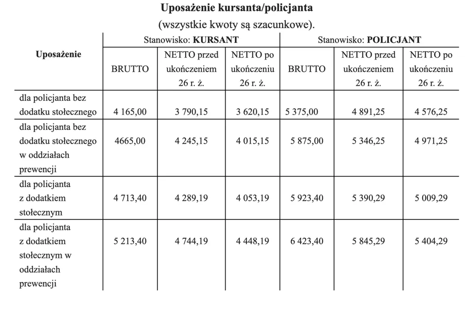 Zdjęcie Ile punktów do policji? Kluczowe informacje, które musisz znać