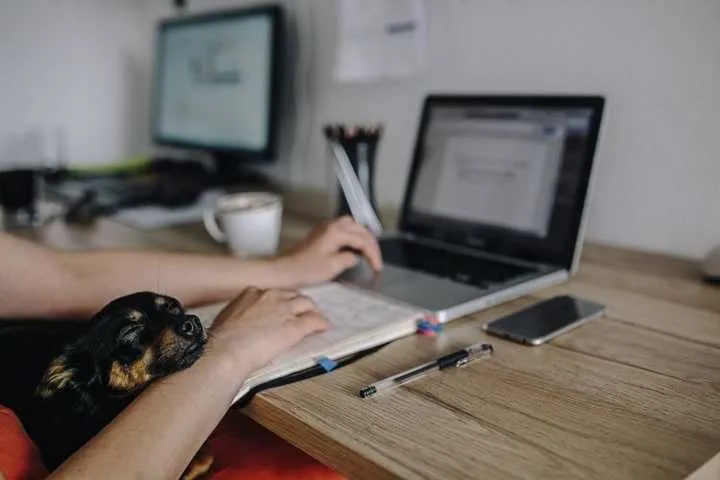 Zdjęcie Jak zacząć z WordPressem: proste kroki do stworzenia strony internetowej