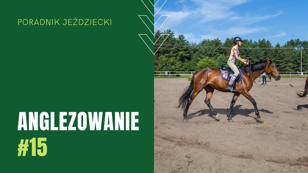 Zdjęcie Jak ćwiczyć anglezowanie w domu i poprawić swoje umiejętności jeździeckie