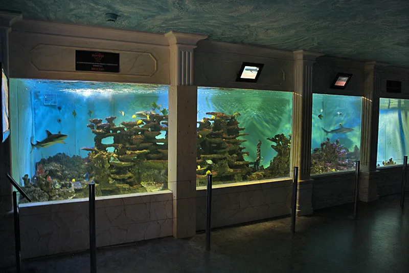 Zdjęcie Godziny otwarcia oceanarium w Ustce - nie przegap wizyty!