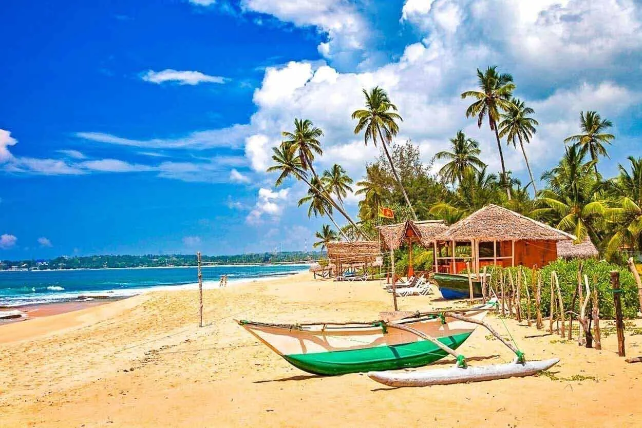 Zdjęcie Sri Lanka: kiedy jechać? Najlepszy czas na niezapomnianą podróż