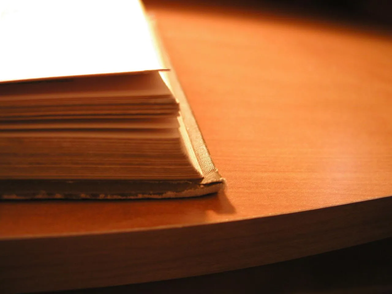 Zdjęcie Dlaczego Psalm 1 nazywany jest kluczem do szczęścia? Interpretacja