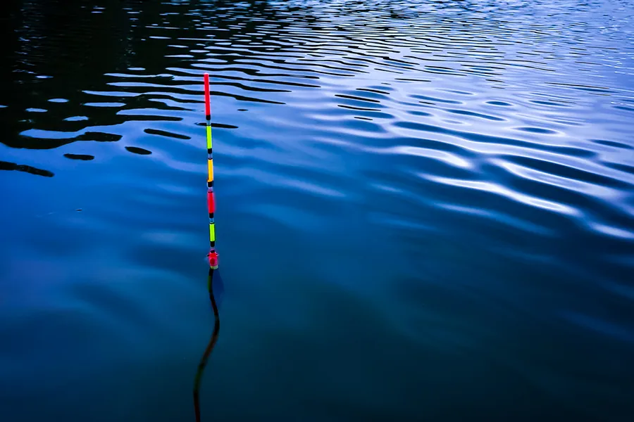 Wędkarz łowiący metodą spławikową