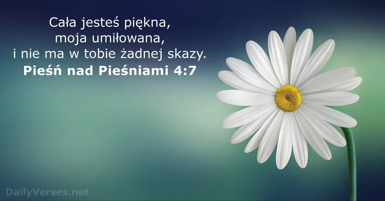 Zdjęcie Najpiękniejsze cytaty o pięknie oraz głębokie myśli wielkich filozofów