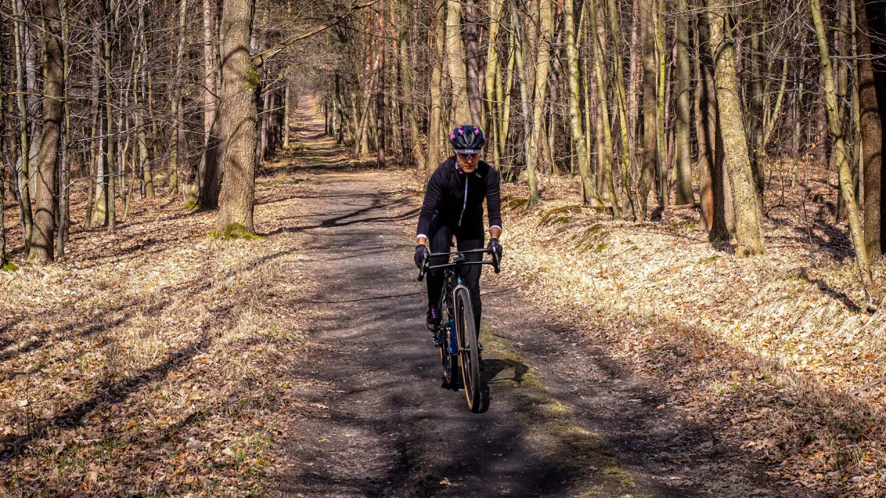 Rowerzyści na leśnej ścieżce Pojezierza Palowickiego