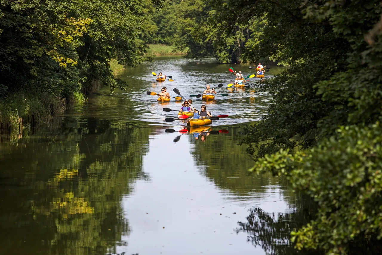 Jezioro Wdzydze kajaki żaglówki