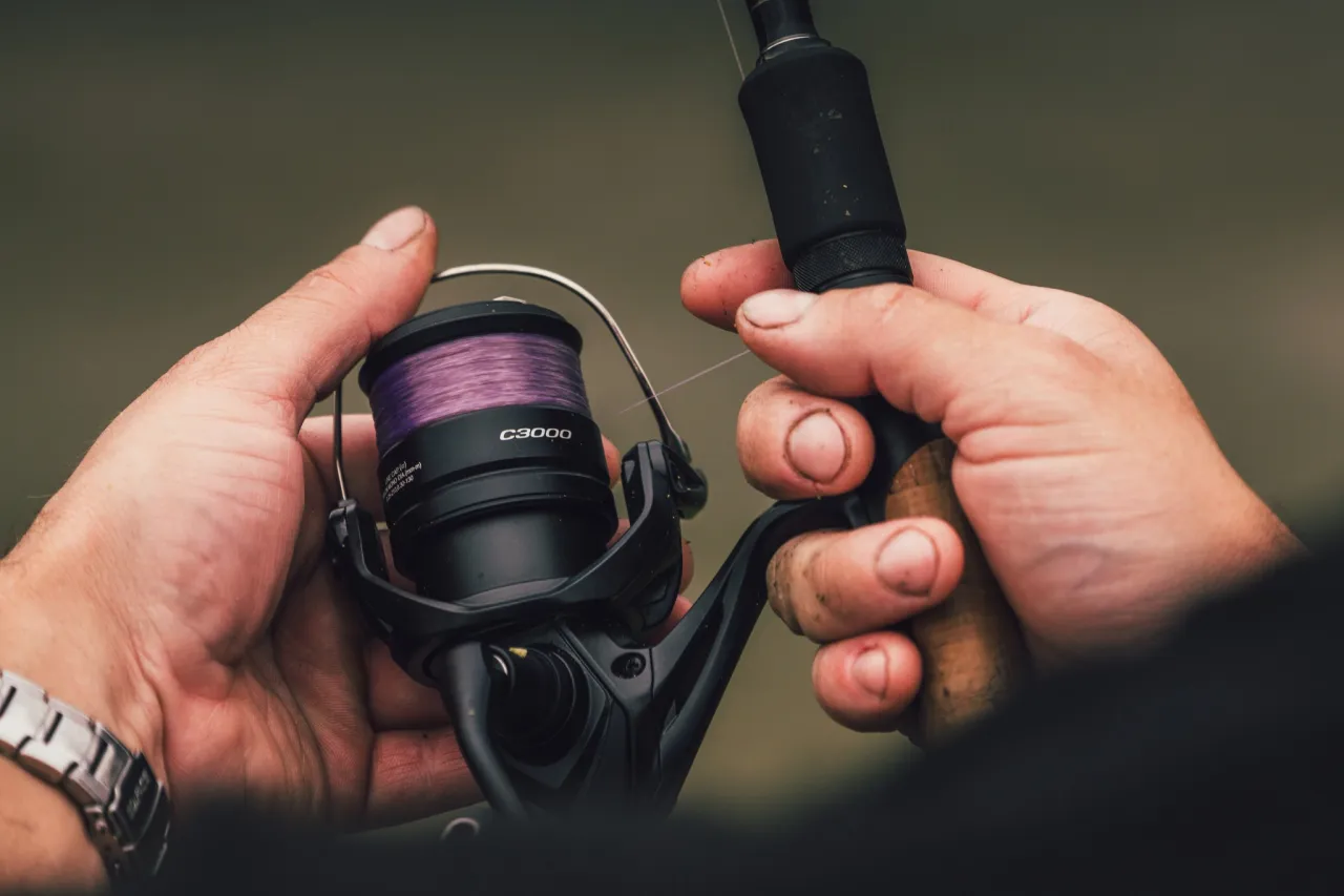 Ręce wędkarza trzymające spinningowy kołowrotek z fioletową żyłką. Dylemat: co lepsze na spinning zylka czy plecionka?