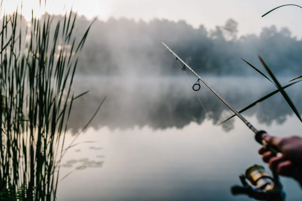 Mglisty poranek nad jeziorem, trzciny i wędka w dłoni. Idealna pogoda na ryby.