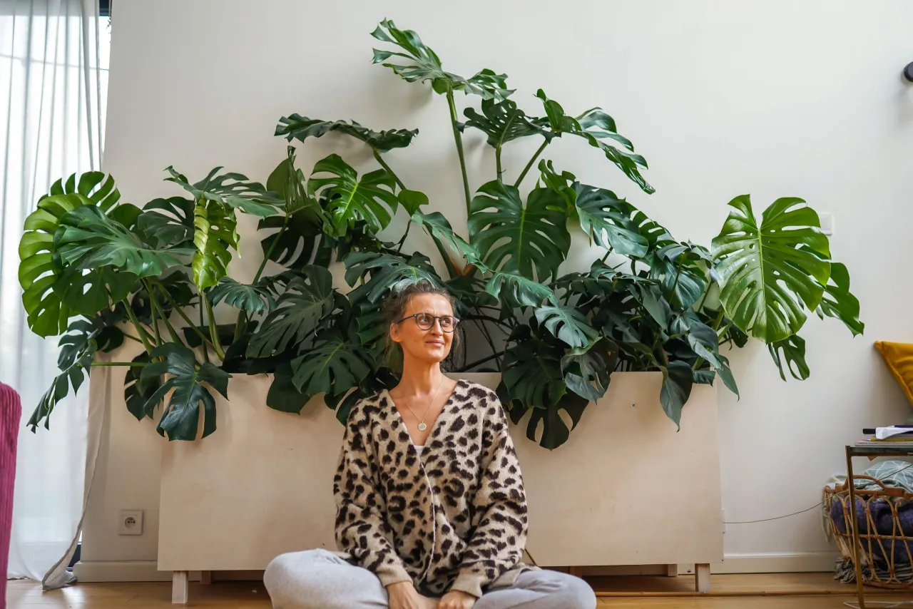 Pielęgnacja monstery dla kwitnienia