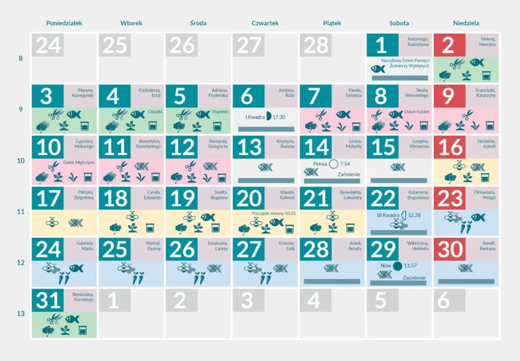 terminy siewu marchwi kalendarz