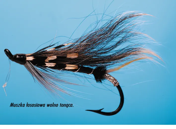 zestaw spirolino mucha na troć