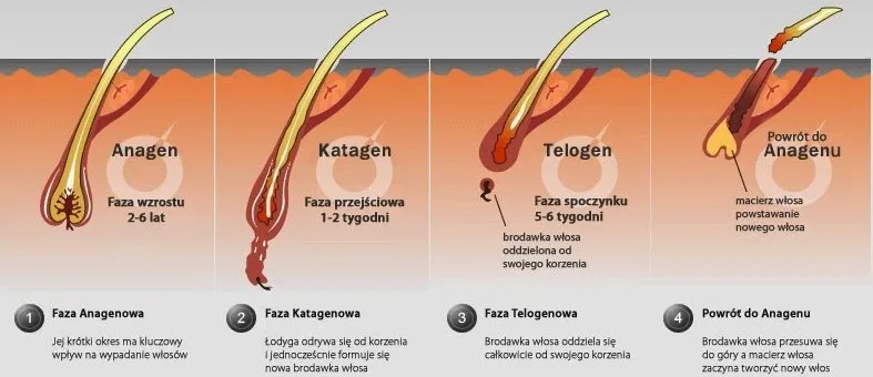 schemat działania lasera epilacyjnego melanina mieszek włosowy