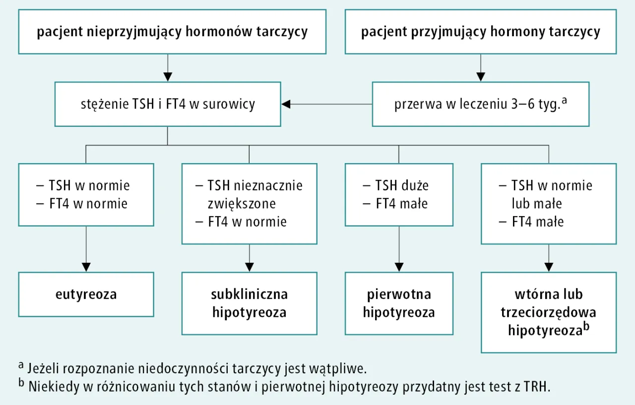 tarczyca i serce schemat, wpływ hormon&oacute;w tarczycy na serce