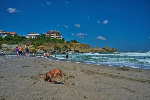 Tanie podróże po Europie: Albania plaża, Rumunia zamek, Portugalia wybrzeże