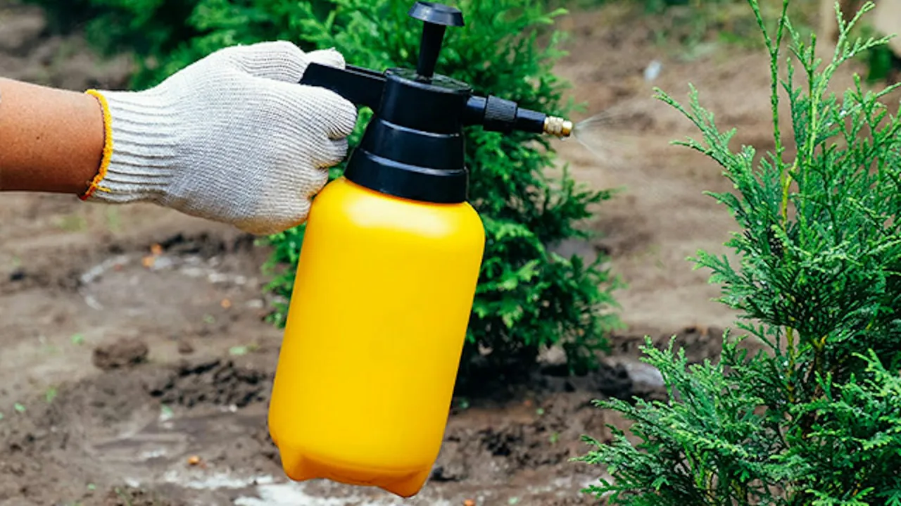 rodzaje opryskiwaczy ogrodowych