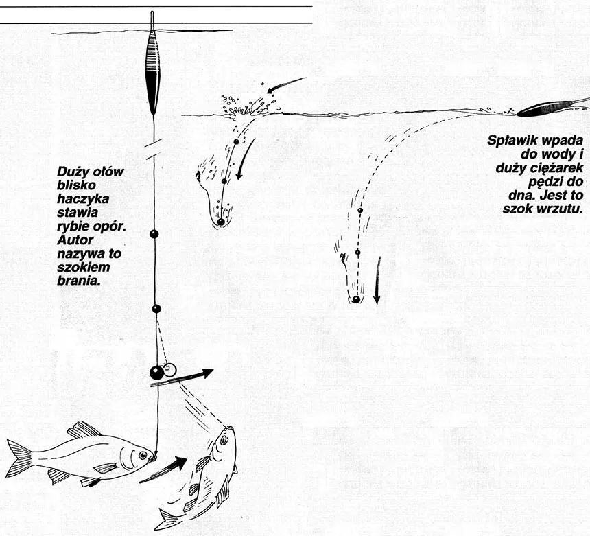 specjalistyczny zestaw spławikowy na duże ryby