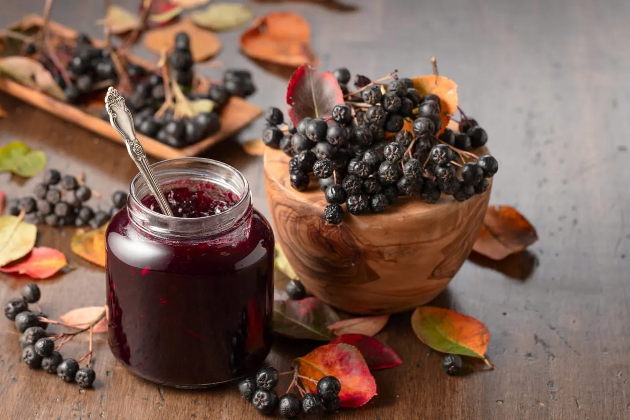 mrożona aronia w misce