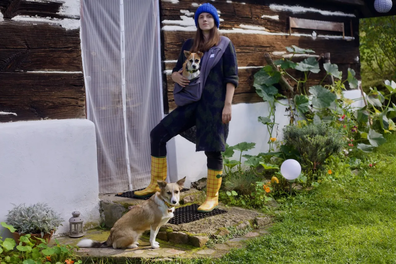 rodzaje nosidełek dla psa DIY