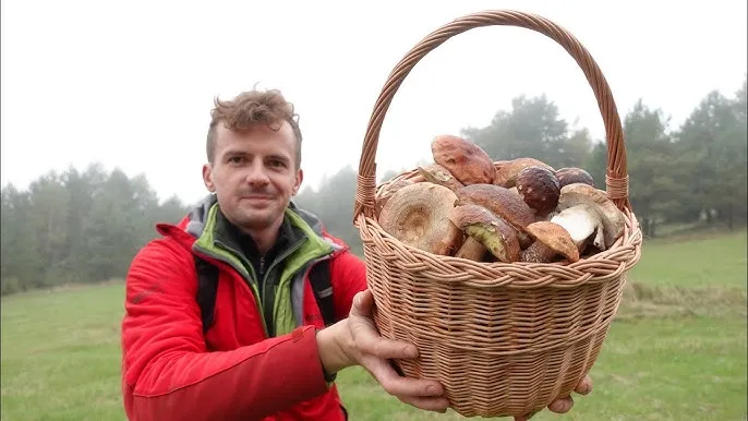 Beskidy Bieszczady grzyby rydze prawdziwki