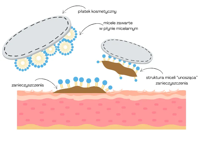 mechanizm działania mydła micele
