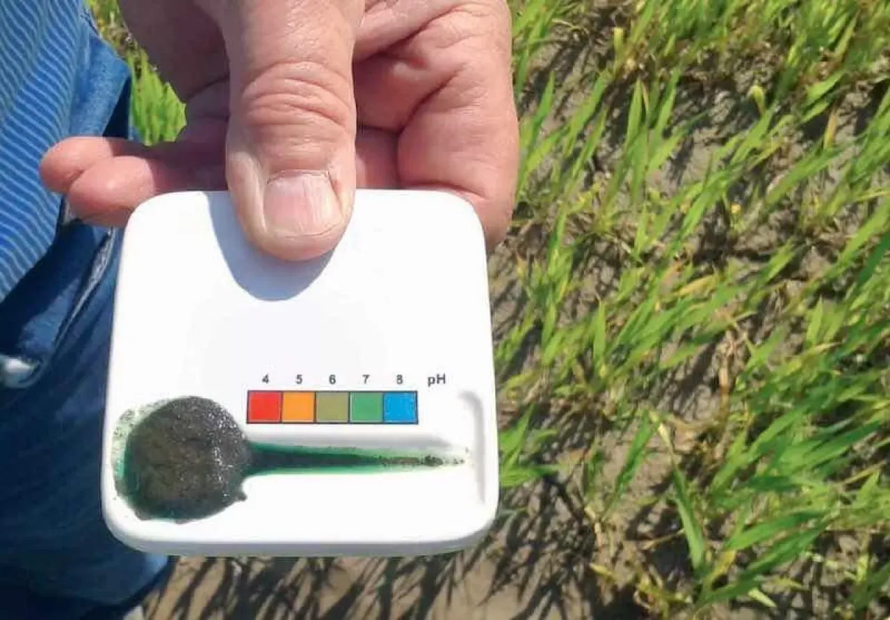 badanie ph gleby, spulchnianie gleby