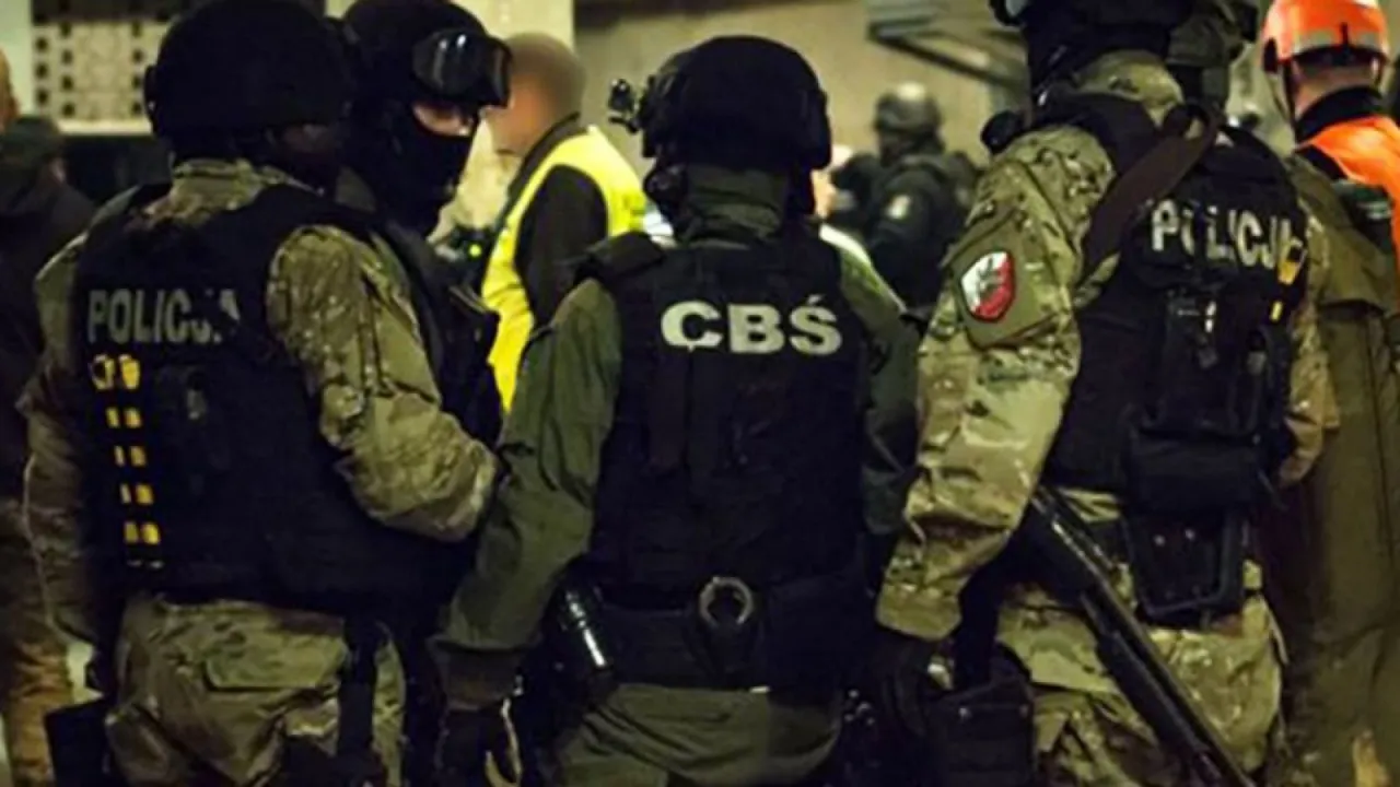 R&oacute;żne specjalizacje policji: prewencja, kryminalna, cyberprzestępczość