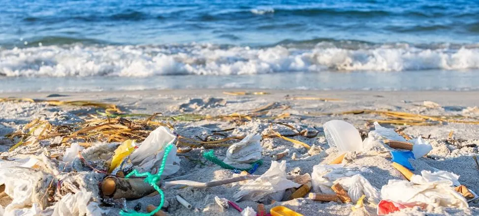 Zanieczyszczenie Morza Bałtyckiego