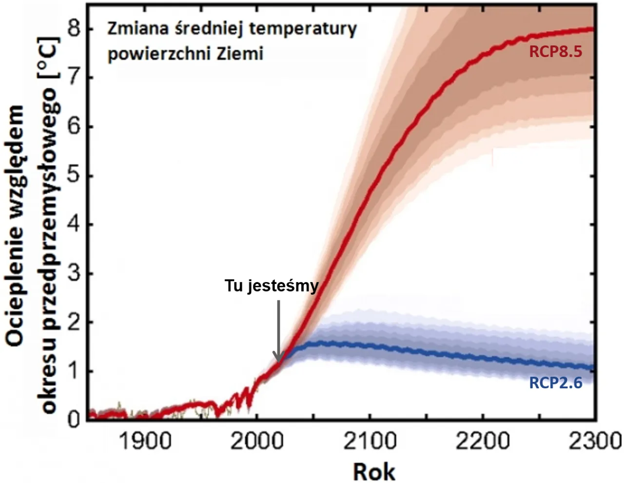 Skutki zmian klimatu w Polsce i na świecie