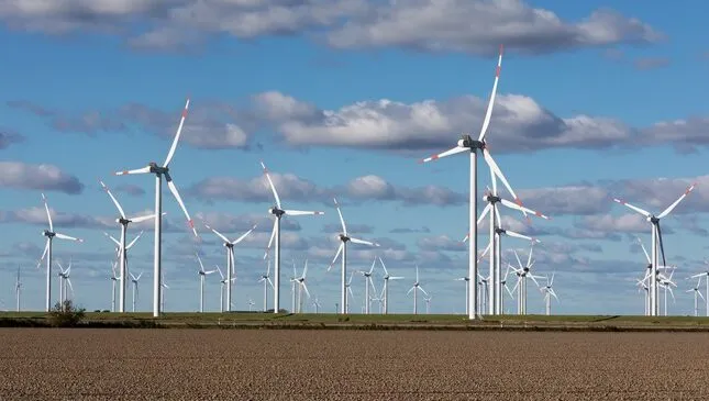 duża farma wiatrowa lądowa