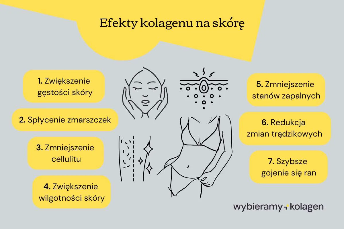 Efekty kolagenu na sk&oacute;rę: poprawa gęstości, spłycenie zmarszczek, redukcja cellulitu, nawilżenie, zmniejszenie stan&oacute;w zapalnych, redukcja trądziku, szybsze gojenie. Kolagen przed i po.