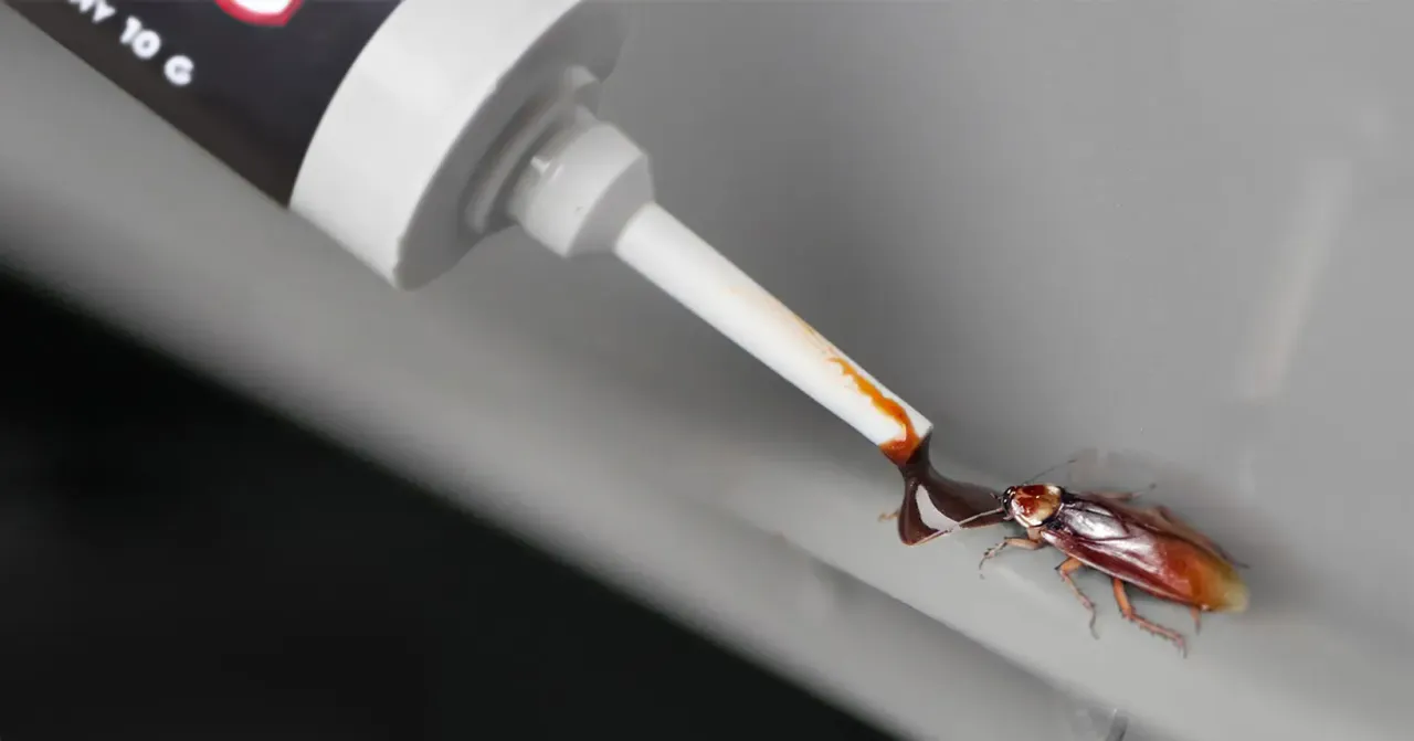 Żel na karaluchy aplikacja