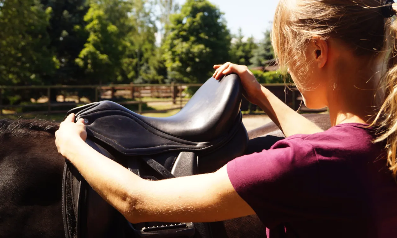 Kobieta mierząca siodło na grzbiecie konia