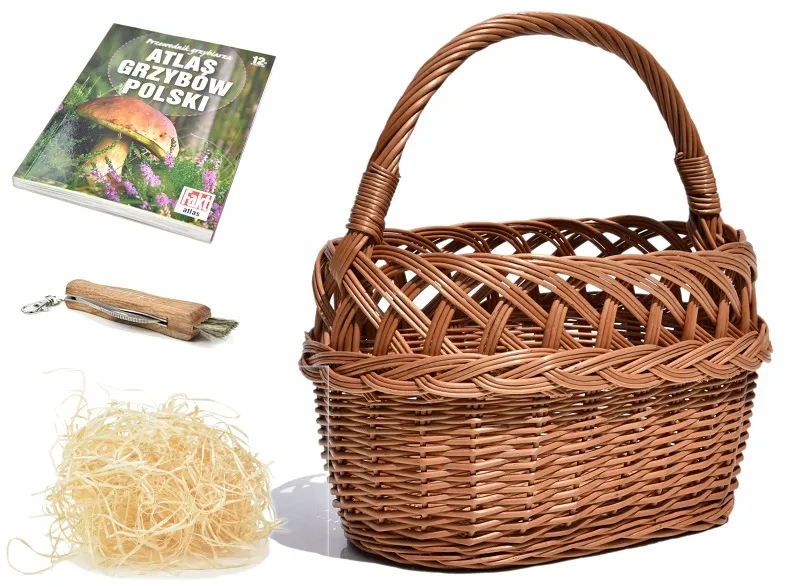 Niezbędnik grzybiarza: kosz, nóż, atlas