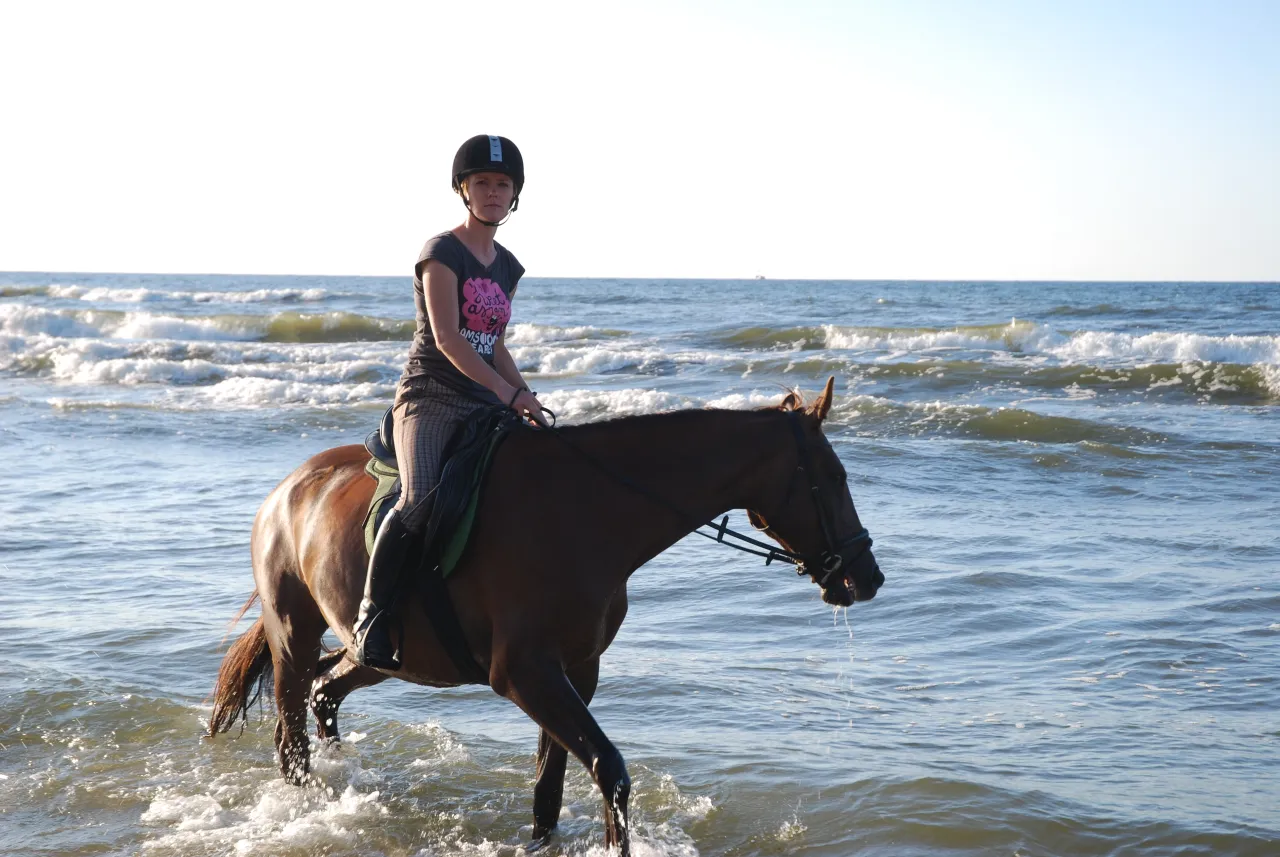 mowa ciała konia sygnały