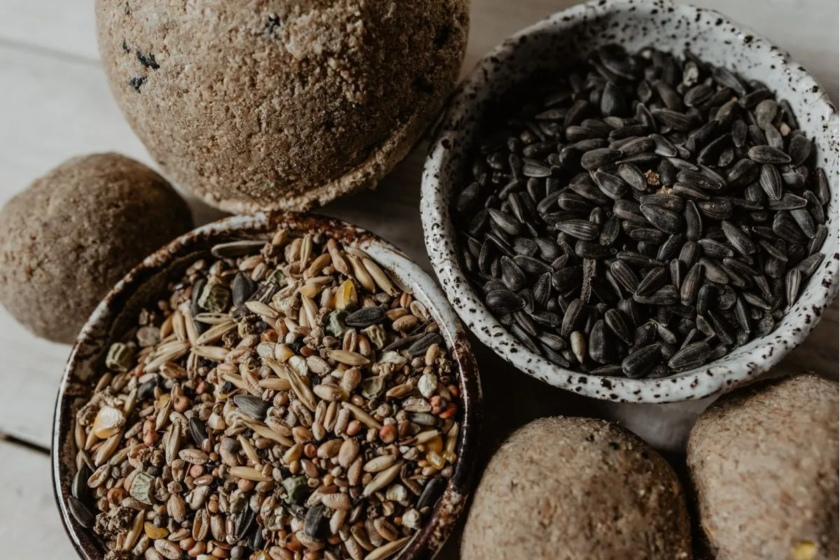 różne ziarna dla gołębi