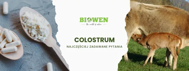 Zdjęcie Colostrum jakie wybrać dla dziecka, by zapewnić mu zdrowie i bezpieczeństwo