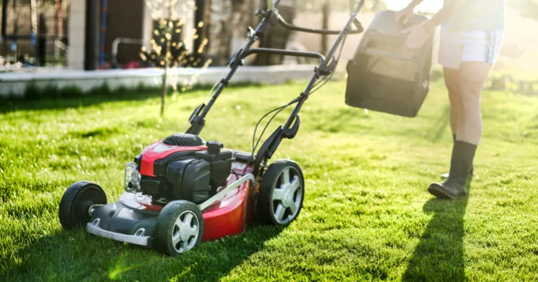 kosiarki elektryczne o r&oacute;żnej mocy do ogrodu