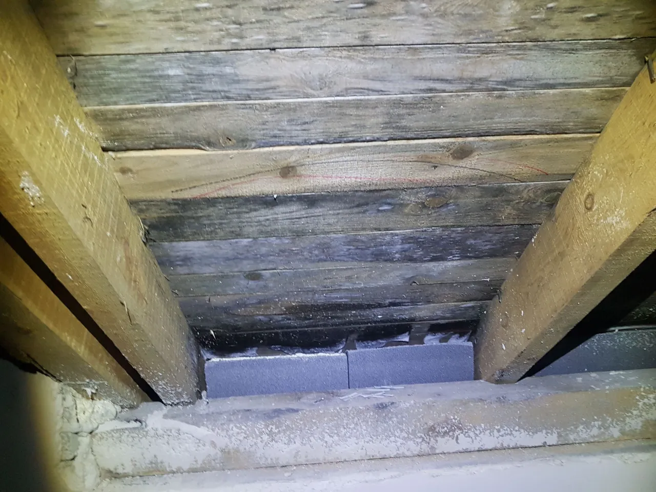 Uszkodzenia drewna konstrukcyjnego wilgoć grzyb