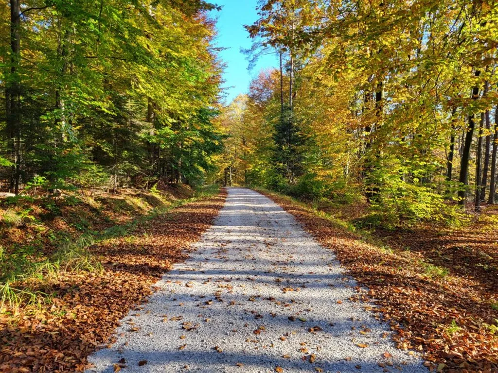 Główny Szlak Świętokrzyski widoki