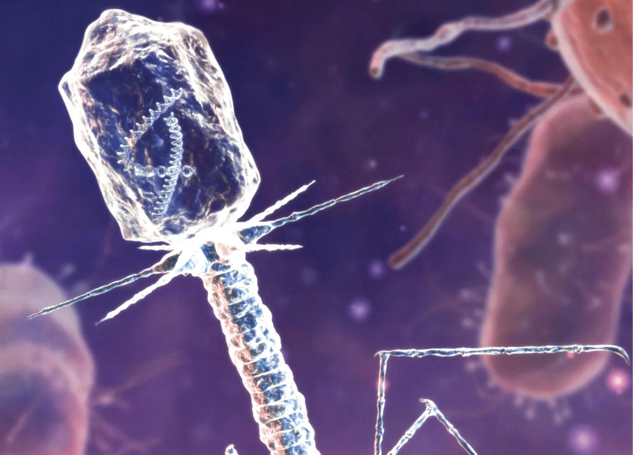 Infografika przedstawiająca różne typy bakterii i wirusów pod mikroskopem, z wyróżnieniem tych najczęściej odpowiedzialnych za sepsę