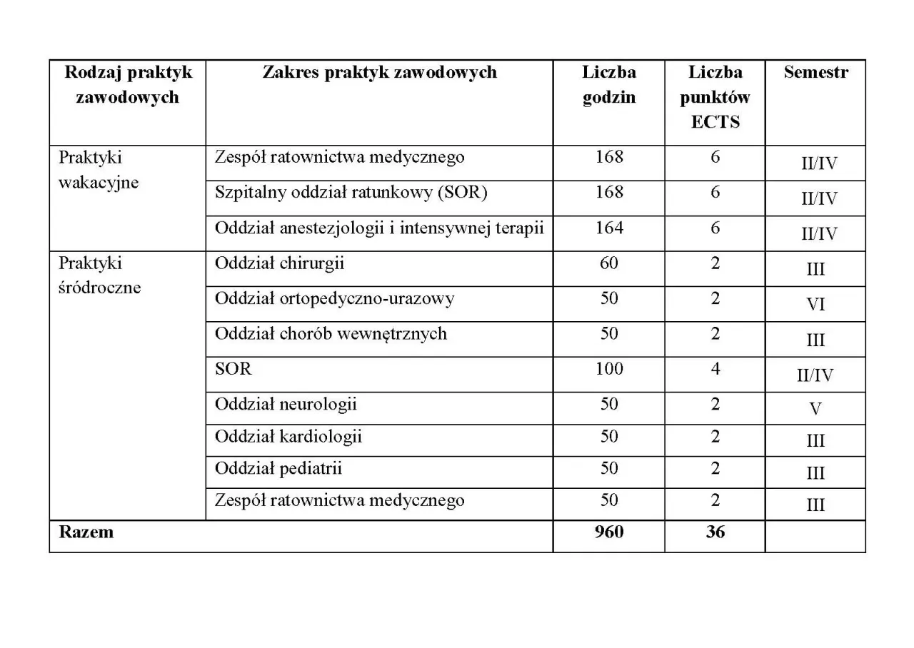 Rodzaje praktyk zawodowych w Polsce