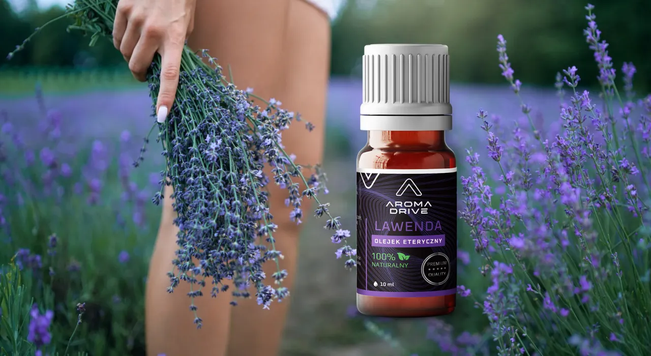 lawenda komary natura