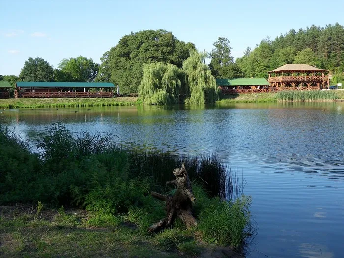 Staw Amerykan Złoty Potok